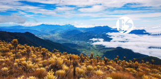 Antioquia se consolida como destino turístico sostenible Antioquia se consolida como destino turístico