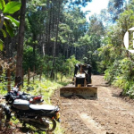 Así están las vías en el Suroeste para este puente festivo