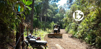 Así están las vías en el Suroeste para este puente festivo