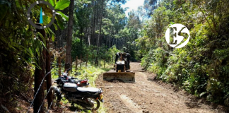 Novedades en las vías del Suroeste Novedades en las vías del Suroeste