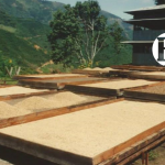 Historia de una herencia – El San Gregorio que forjaron nuestros abuelos