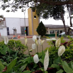 Historia de una herencia – El San Gregorio que forjaron nuestros abuelos