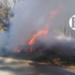 Cinco incendios de cobertura vegetal se han presentado en Antioquia en los últimos días Cinco incendios de cobertura vegetal se han presentado en Antioquia en los últimos días