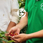 Posible reactivación de la Cooperativa de Caficultores de Andes ¡Hay esperanza!