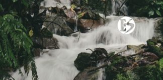 Editorial. No todo vale