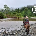 Editorial. La esperanza de una Colombia en paz