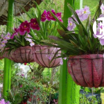 Cuento de una noche inolvidable