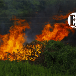 El IDEAM advierte sobre los municipios del Suroeste que tienen amenaza de incendio por altas temperaturas