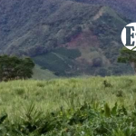 Conciencia ecológica y política conciencia ecológica y política