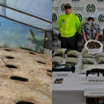 Descubrieron tres laboratorios de marihuana en Concordia