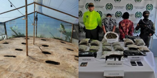 Descubrieron tres laboratorios de marihuana en Concordia