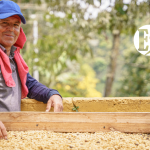 En Concordia disfrutaremos la Feria de Cafés de Altura