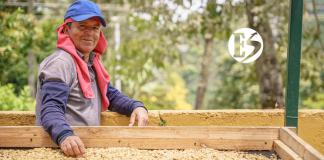 En Concordia disfrutaremos la Feria de Cafés de Altura