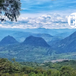 Desempeño Fiscal de los municipios del Suroeste