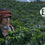 Los paisajes del Suroeste se destacaron en el XI Festival de Cine Ituango