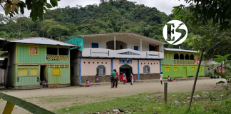 Restituyen más de 12.300 hectáreas a comunidad de Mandé en Urrao Restituyen más de 12.300 hectáreas a comunidad de Mandé en Urrao