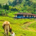 Soluciones creativas para el bien común