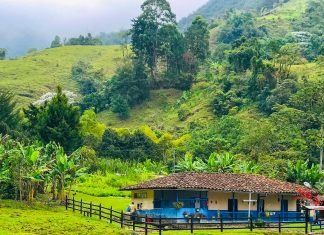 Editorial. Soluciones creativas para el bien común