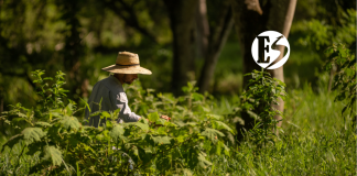 La ganadería regenerativa de Biosuroeste