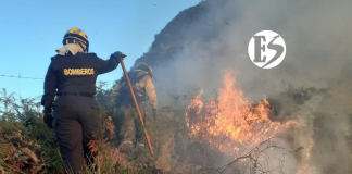 Ocho incendios forestales se presentaron en Antioquia este fin de semana Ocho incendios forestales se presentaron en Antioquia este fin de semana