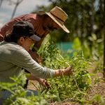 Avances del Distrito Agrario, Ecológico y Provincial en el Suroeste