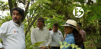 Pacífico 1 presentó balance ambiental a Corantioquia