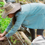 Tres experiencias agroturísticas que te invitamos a conocer en el Suroeste antioqueño