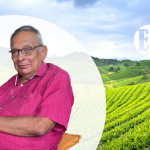 Por una transición energética sustentable