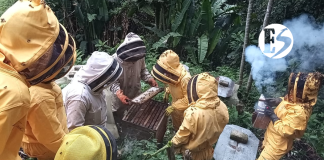 Apicultura en el Suroeste antioqueño