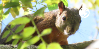 Avances en las inversiones ambientales de Pacífico 1
