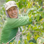 La historia del café contada desde Fredonia