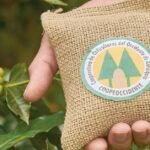 En Andes, Ciudad Bolívar y Betania: la Cooperativa de Caficultores del Occidente de Antioquia habilita puntos de compra de café