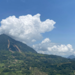 Hay muchos potreros, pero no hay árboles