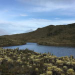 En Urrao: Feria del Oso Andino y el Páramo entre el 7 y 10 de agosto