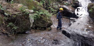 Doña Mónica Parra fue encontrada sin vida en Angelópolis tras varios días de búsqueda