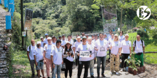 Con caminada y sembratón se conmemoraron los 100 años del viaducto de Amagá