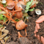 En la COP16: Andes recibirá recursos de la Unión Europea para optimizar la planta de compostaje