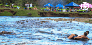 En Támesis: tercera versión del Festival del Río Frío