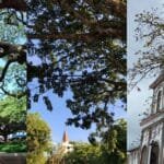 Municipios del Suroeste celebrarán sus fiestas tradicionales este mes