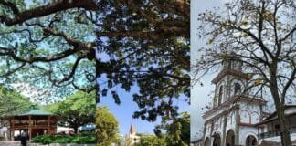 Municipios del Suroeste celebrarán sus fiestas tradicionales este mes