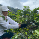 En Fredonia: Café Cordillera, un café de familia hecho con altura