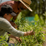 Reflexiones sobre las Áreas de Protección para la Producción de Alimentos -APPA- y el Distrito Agroecológico del Suroeste antioqueño