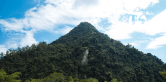 En el Suroeste: Comfama impulsa empleo, educación y turismo responsable