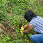 ¿Y usted ya sembró su hectárea de promesas?
