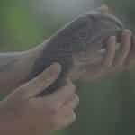 En Jericó: hallazgo arqueológico revela prácticas rituales prehispánicas