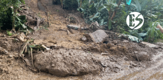 En el Suroeste: vías bloqueadas por la ola invernal