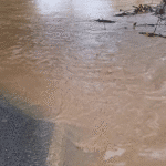 En el Suroeste: cierre temporal de la Troncal del Café