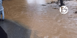 En el Suroeste: cierre temporal de la Troncal del Café