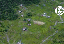 En Urrao: clamor por justicia tras muerte de niña indígena y graves quemaduras a su hermano