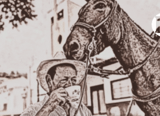 El Festival nuestro de cada año